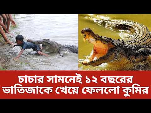 ১২ বছরের শিশুকে টেনে নিয়ে গেল কুমির, ভিডিও ভাইরাল । Crocodile । Viral Video